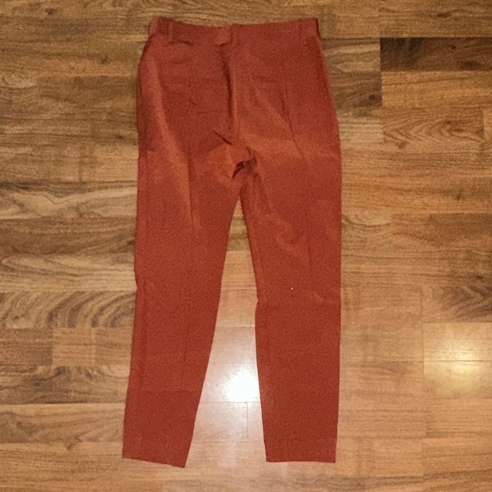 Express Terracotta Cropped Pants - Picture 4 of 6